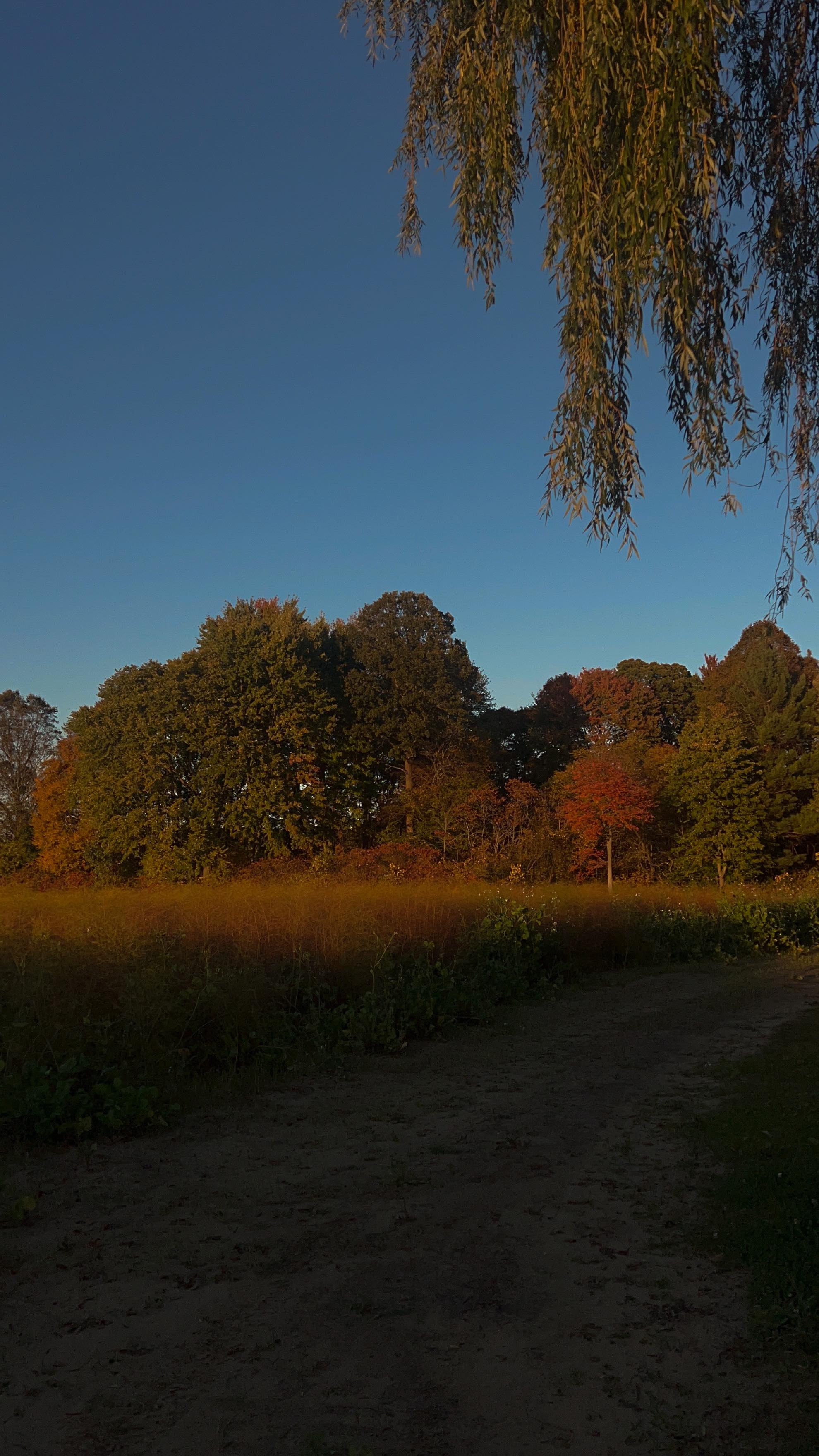 Instagram post by @jotiwall for Buick. Caption reads: #Ad @BuickCanada lent me the new 2025 Enclave and....