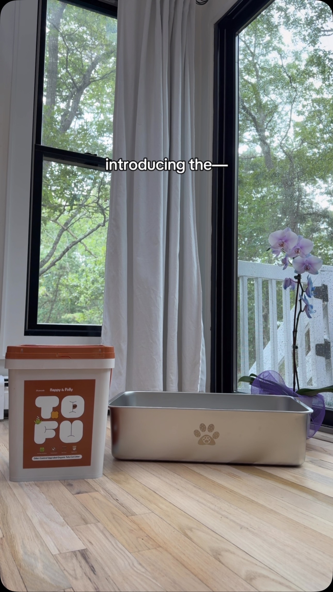 Instagram post by @dieseldoesnothing for Happy & Polly. Caption reads: Litter so good your cat might actually start....