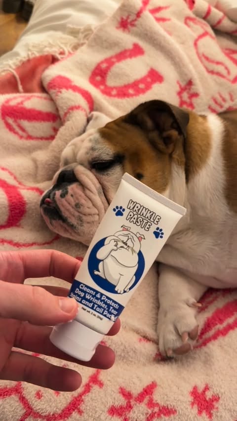 Instagram post by @bowser_the_english for Squishface. Caption reads: [...] for 10% off your next @squishface orders!....