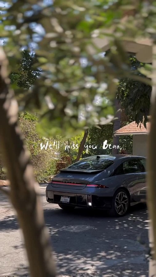 Instagram post by @lauraiz for Hyundai USA. Caption reads: Saying goodbye to our beloved Bean 🚙

It’s hard....