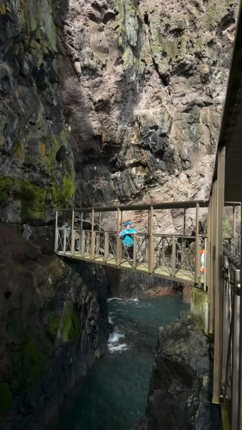 Instagram post by @sashaferg for Discover Northern Ireland. Caption reads: Day Trip Idea from Belfast 🌊 📍 The Gobbins - Co.....
