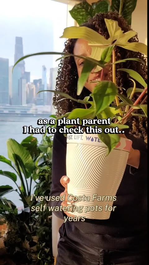 Instagram post by @nycapartmenthome for Costa Farms. Caption reads: Anything that makes plant care feel easier is a....