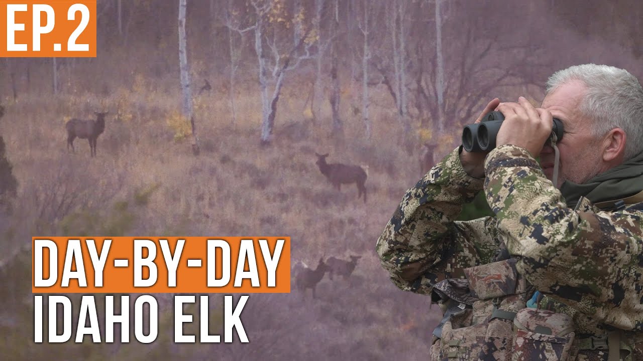 YouTube post by @Fresh_Tracks for Ollin. Caption reads: THAT was CLOSE | Idaho Backcountry Elk Hunt (Ep.2).