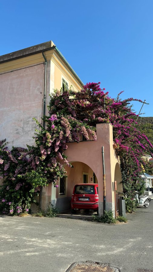 Instagram post by @soup4.ever for Astra Make-Up. Caption reads: Long time no sea 🪼

@tower28beauty serum....