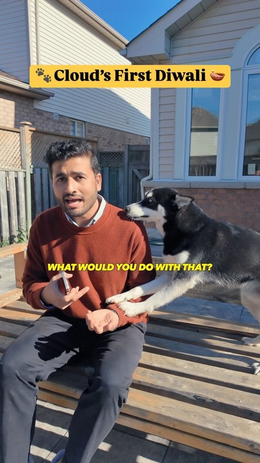 Instagram post by @aalsiiindian for Pet Valu. Caption reads: [...] for them! 
 Visit your neighborhood Pet Valu....