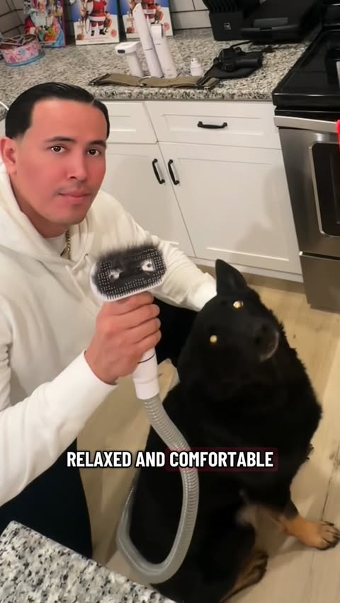 Instagram post by @then8tivedogfather for Oneisall. Caption reads: Take care of your dog the easy way 🤜🏽🤛🏽 

Dog....