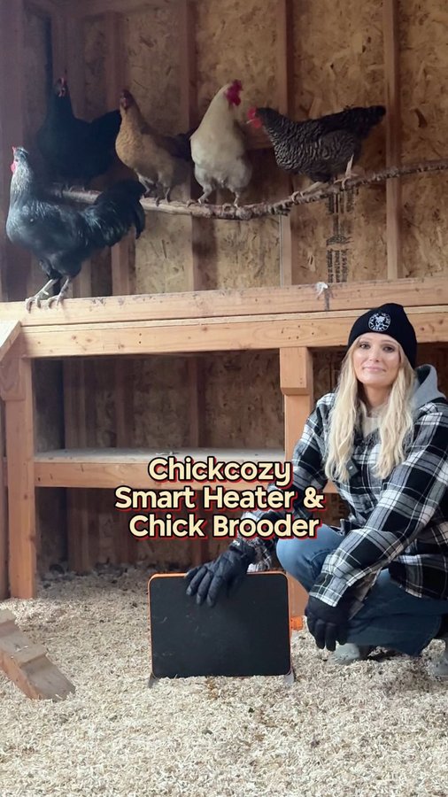 Instagram post by @lowkeyhomestead for Chickcozy. Caption reads: [...] and the coop? Yes, please.

The @chickcozy_....