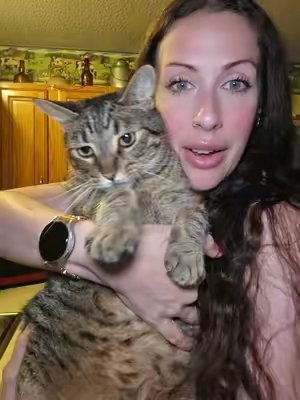 TikTok post by @imraegirl1 for Just Try Pet US. Caption reads: [...] have helped my cat with hairballs! #@Just....
