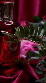 Instagram post by @lina.berd for Orientica Perfumes. Caption reads: Smokin’ Gorgeous by @orienticaperfumes is a Floral....