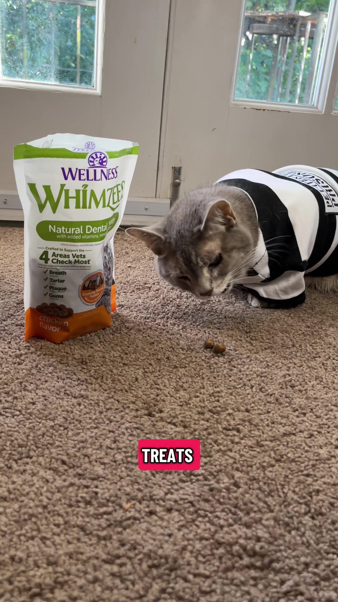 TikTok post by @dogmom_af for Wellness Pet Food. Caption reads: [...] just treats from our friends at @Wellness....