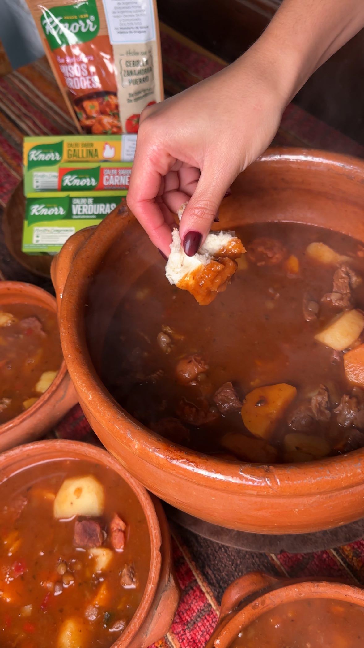 Instagram post by @michii_cortes for Knorr. Caption reads: ¡Tu primer guisito este invierno….!

📝....