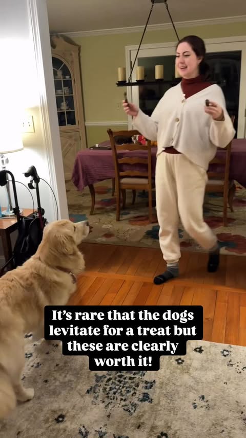 Instagram post by @riskyandthegiantpeach for Bernie's Best. Caption reads: Goldens love treats but not usually enough to....