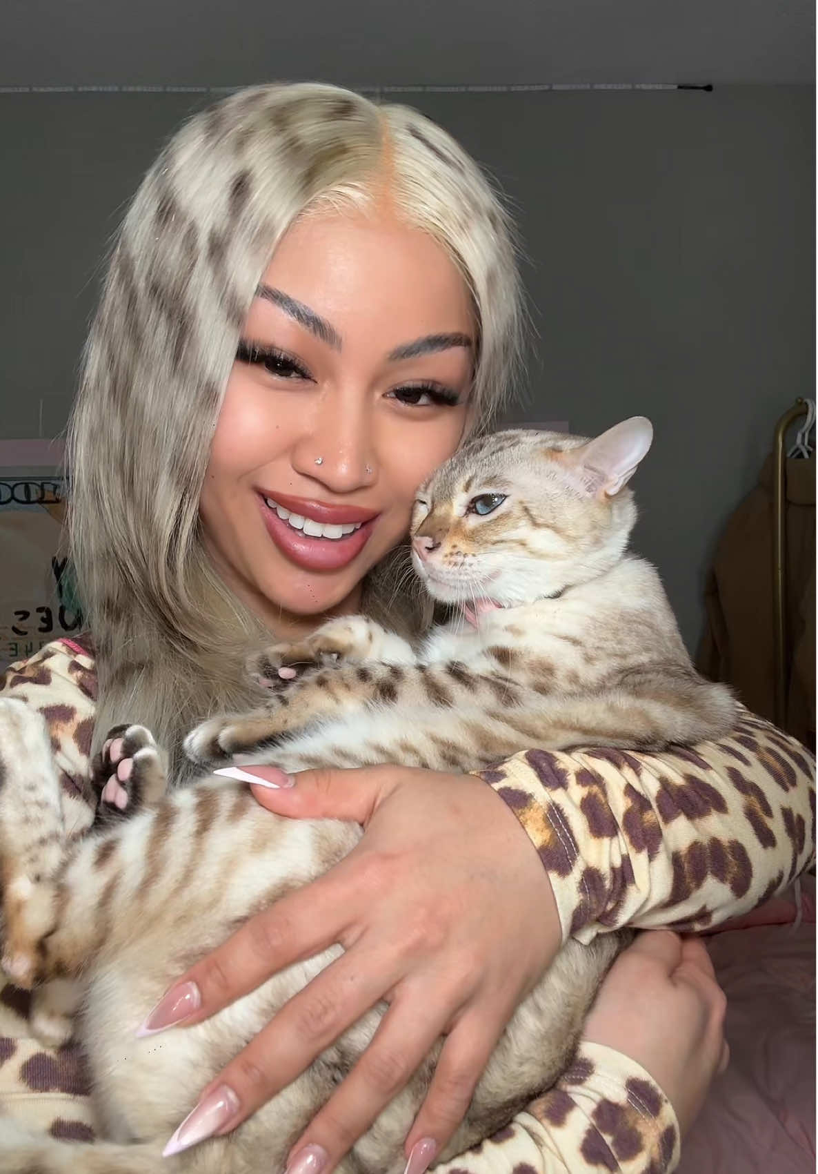 TikTok post by @mirajanethebengal for IAMGIA. Caption reads: my daughter @I.AM.GIA  #cat #catvideos #bengalcat .