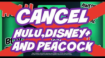 YouTube post by @DesignerJen for PayPal Honey. Caption reads: Reminder to Cancel Hulu, Disney+ and Peacock ||....