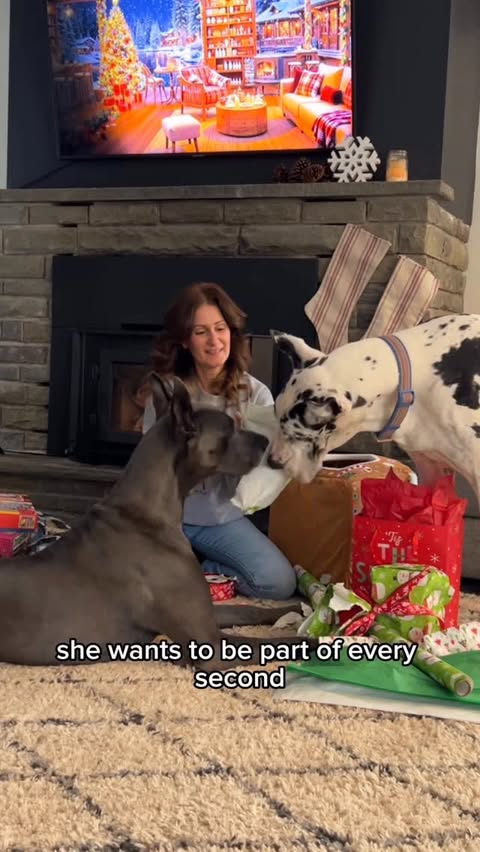 Instagram post by @lovemargot.co for Native Pet. Caption reads: Holiday chaos looks a little different when you....