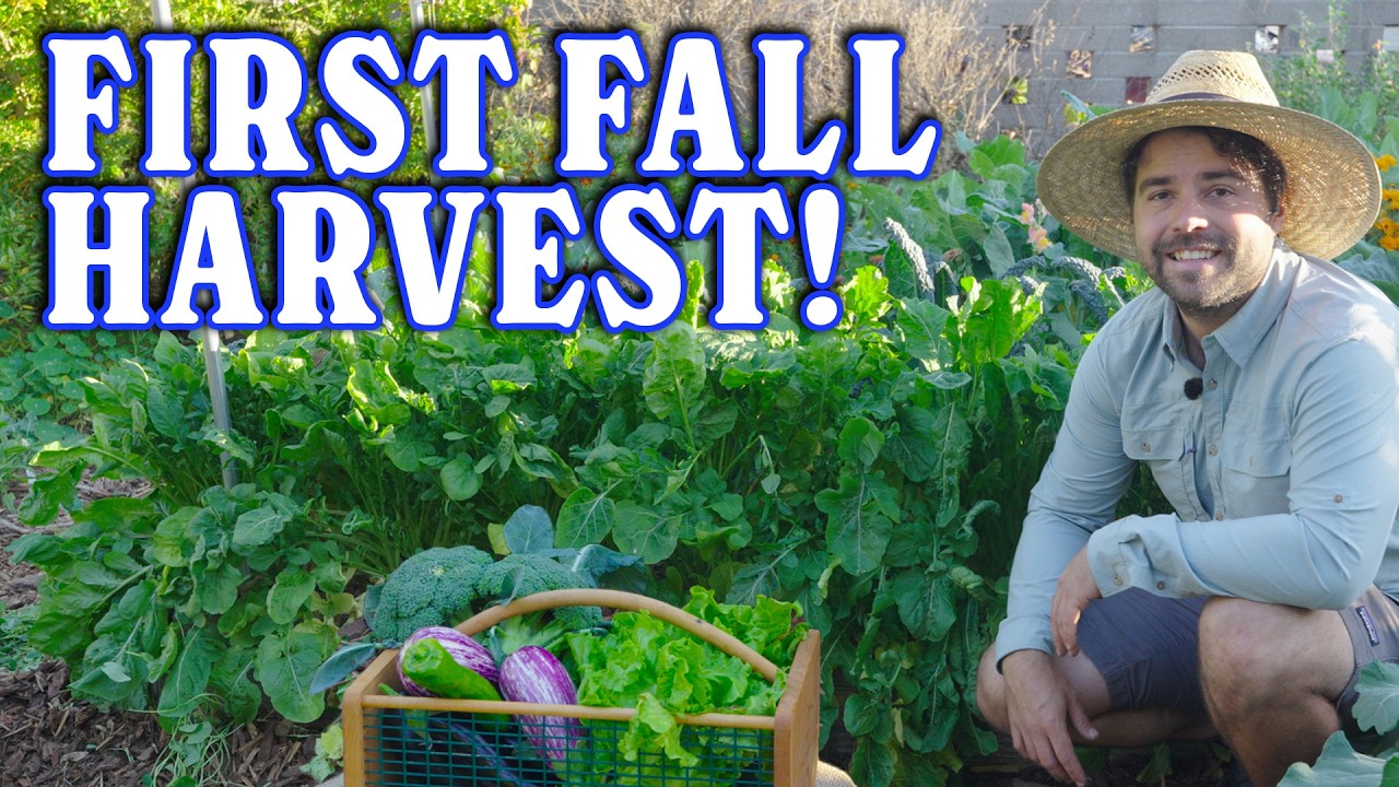 YouTube post by @jacquesinthegarden for Epic Gardening. Caption reads: My Fall Garden Planning Has Finally Paid Off!.