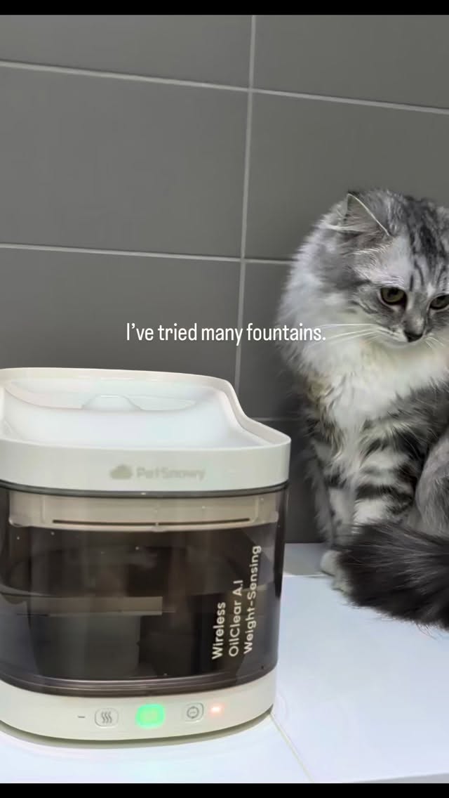 Instagram post by an influencer for PetSnowy. Caption reads: [...] That’s why I approve of the PetSnowy....
