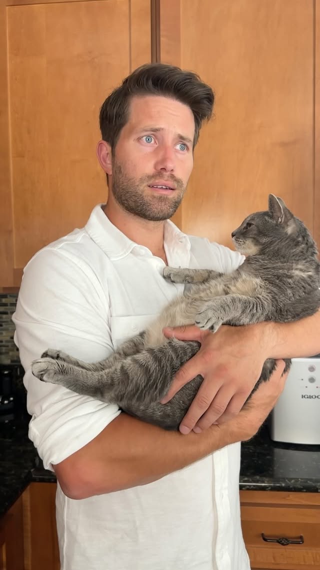 Instagram post by an influencer for Purina. Caption reads: [...] $25 on any combination of any Purina Cat....