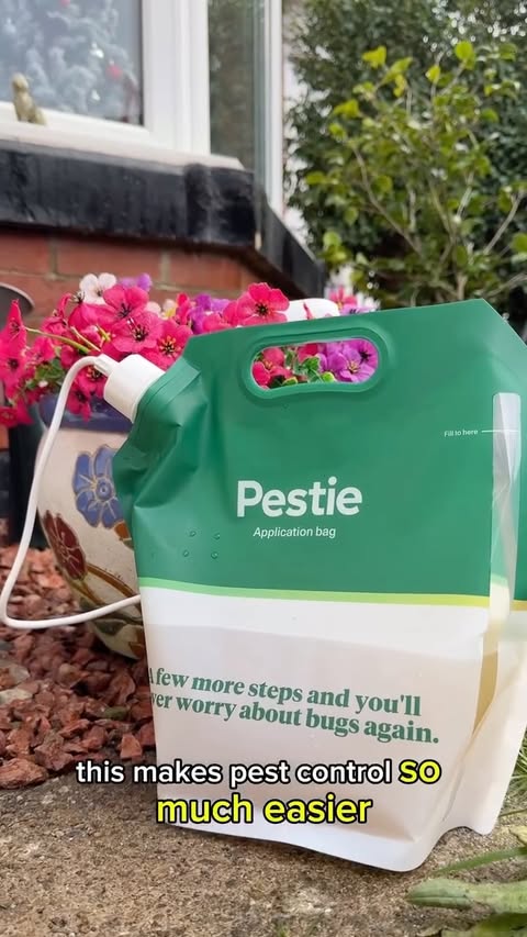 Instagram post by @raynewonders for Pestie. Caption reads: [...] home has never been easier!
Trying the....