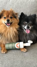 Instagram post by @leon_thepompom for Dandylion. Caption reads: [...] after going outside? I am!....