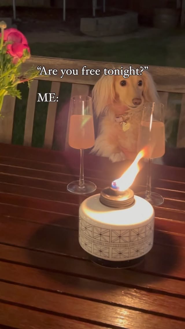 Instagram post by @watsonthedox for TIKI Brand. Caption reads: [...] ☺️❤️ #cozynights for the win 🔥 pt. 4....