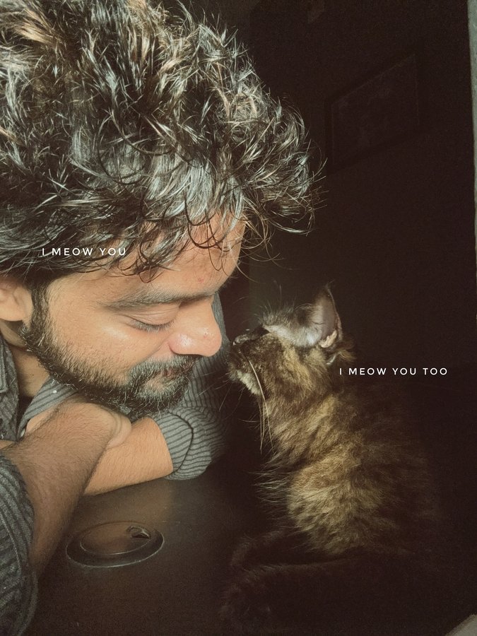 Instagram post by @yadhukrishna_ for Cats of Instagram. Caption reads: Meows 😁❤️ 
.
:
.
.
:
.
.
#cats_of_instagram #cats....