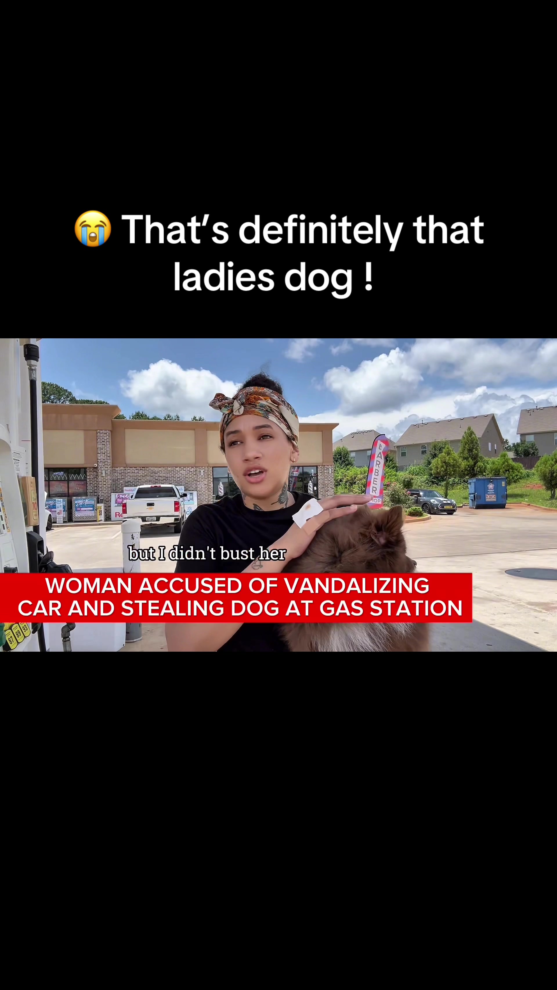 TikTok post by @shietaliii for Public Data Check. Caption reads: 🤧 So how did the car glass break? @Public Data....