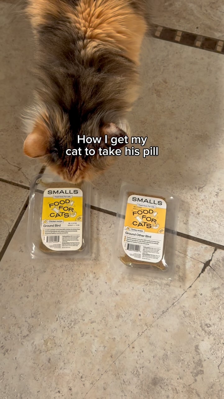 Instagram post by @xxycalico for Smalls. Caption reads: [...] Use code JOSIE15 for 15% off your first....