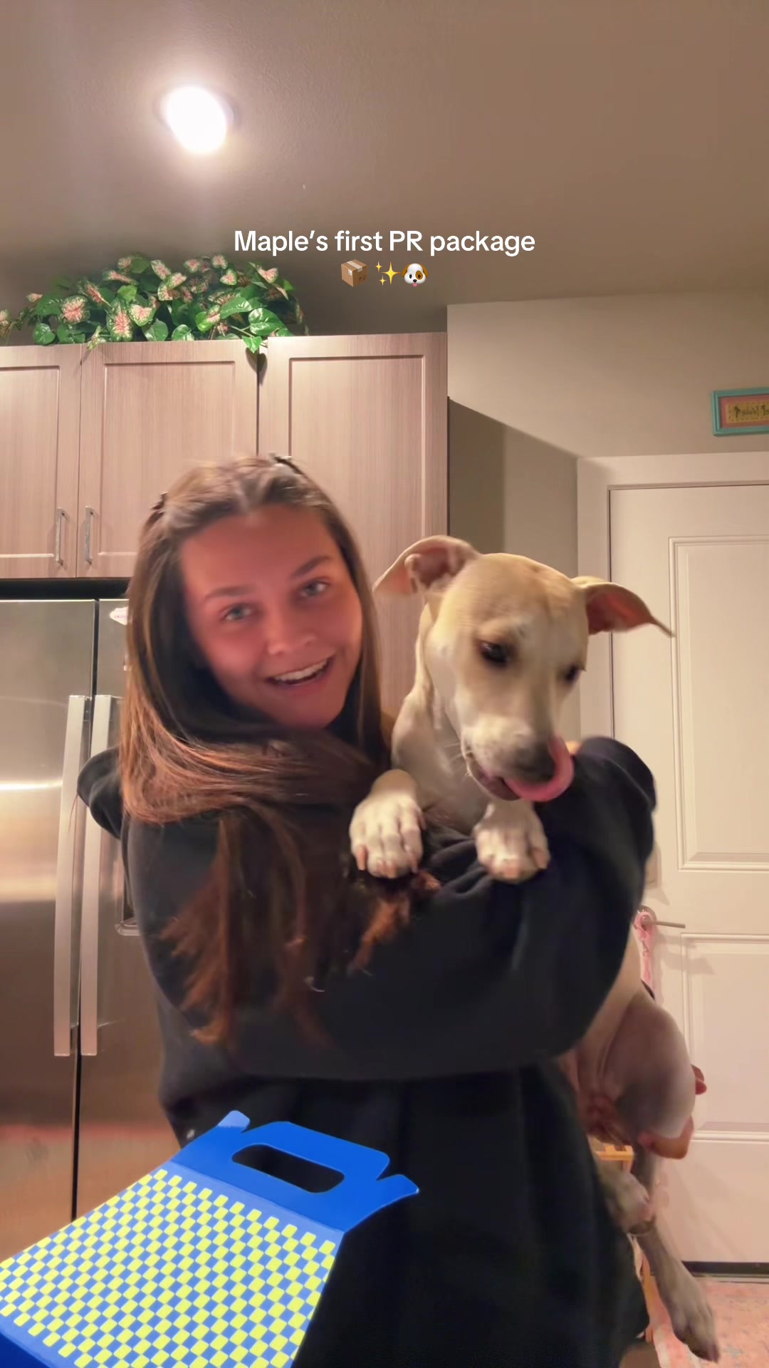 TikTok post by @emmamarie for Native Pet. Caption reads: STOP this is so exciting thank you @Native Pet 🥹✨.