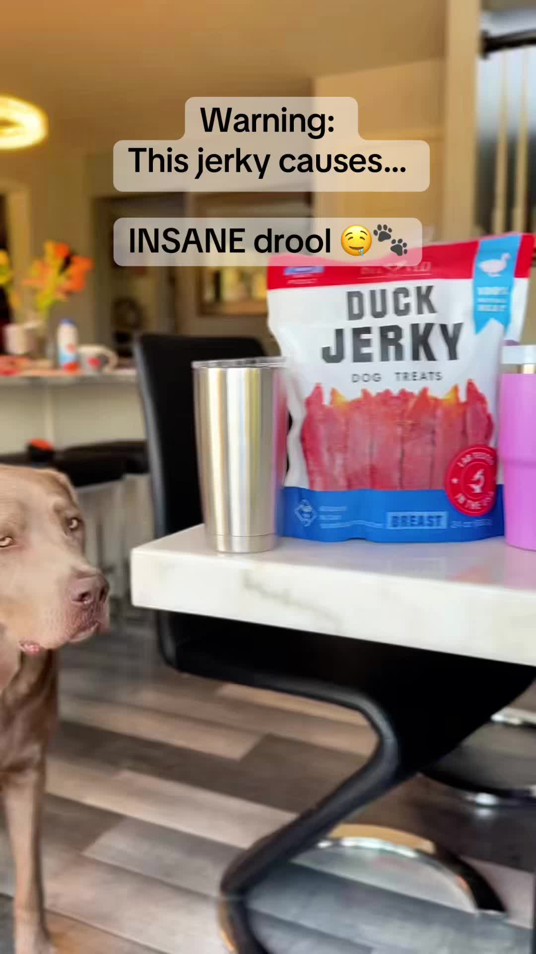 TikTok post by @ghost_labrador for Beloved Pets. Caption reads: [...] All Drool. All Happiness. @Beloved Pets....