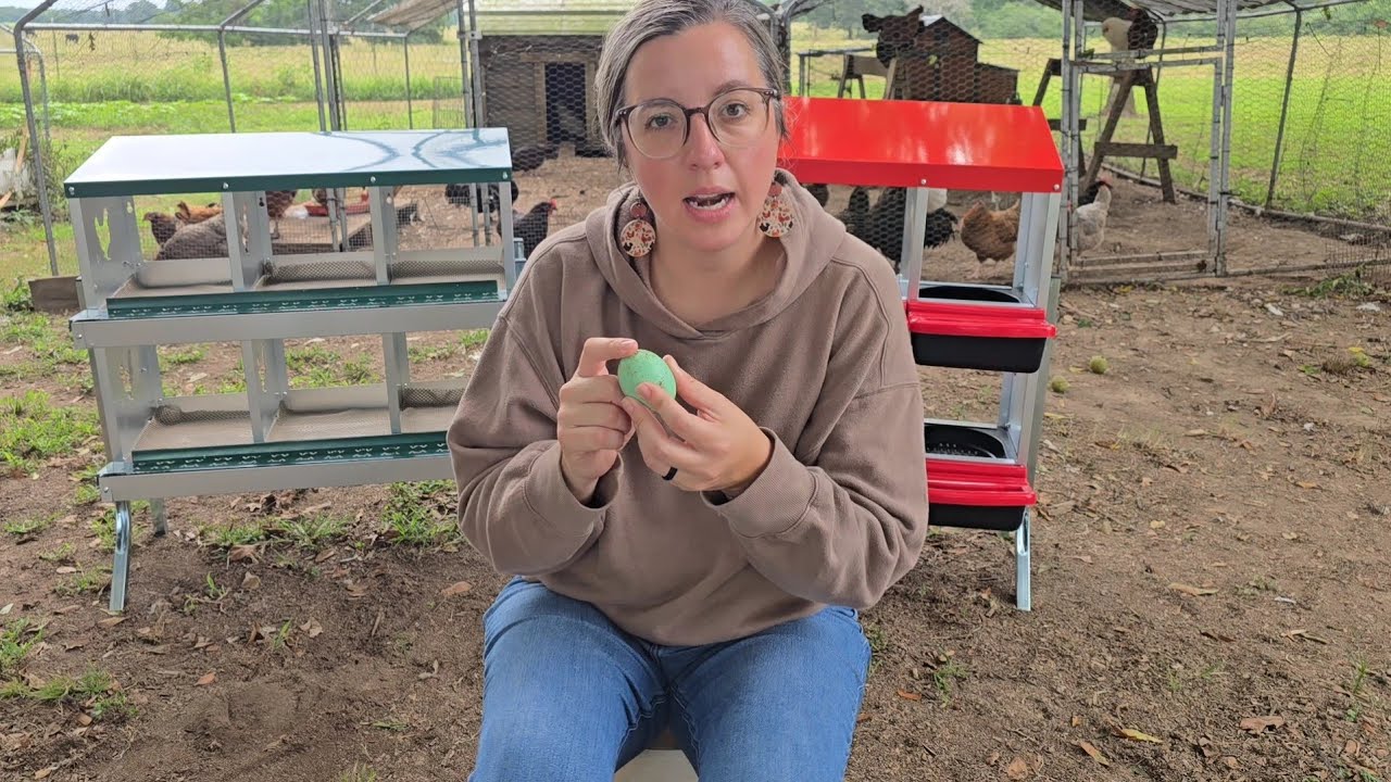 YouTube post by @OurSmallTownLife for Boroux. Caption reads: Did we solve our chicken problem? | Garvee Nesting....