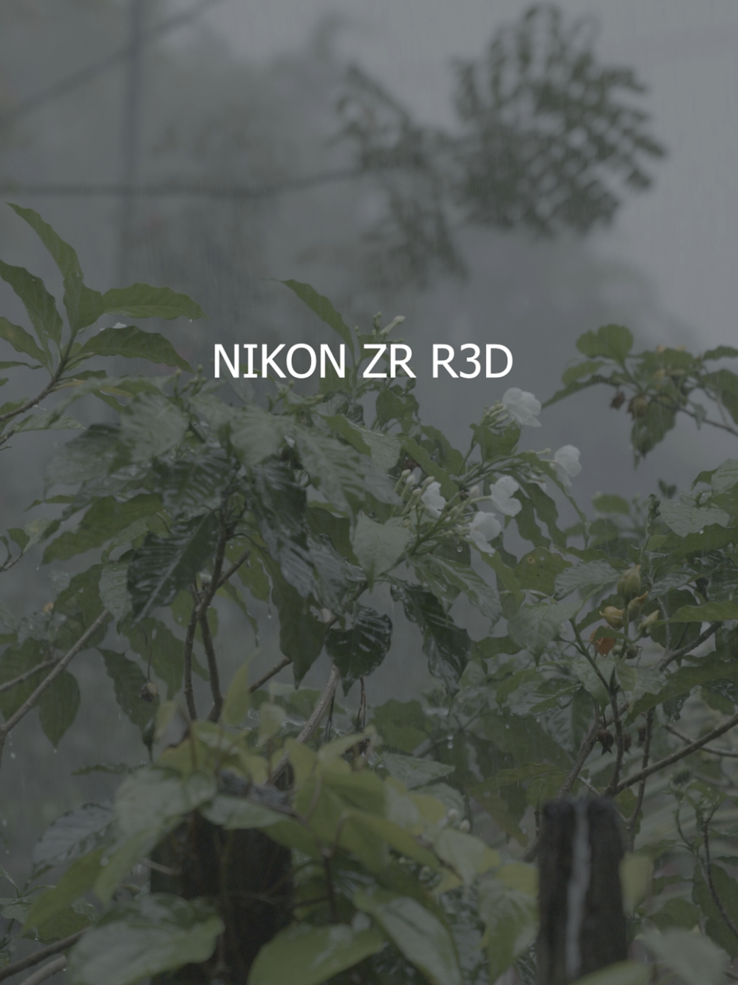 TikTok post by @mithresh_appa for NikonUSA. Caption reads: Falling in love with My  New toy Nikon ZR @Nikon....