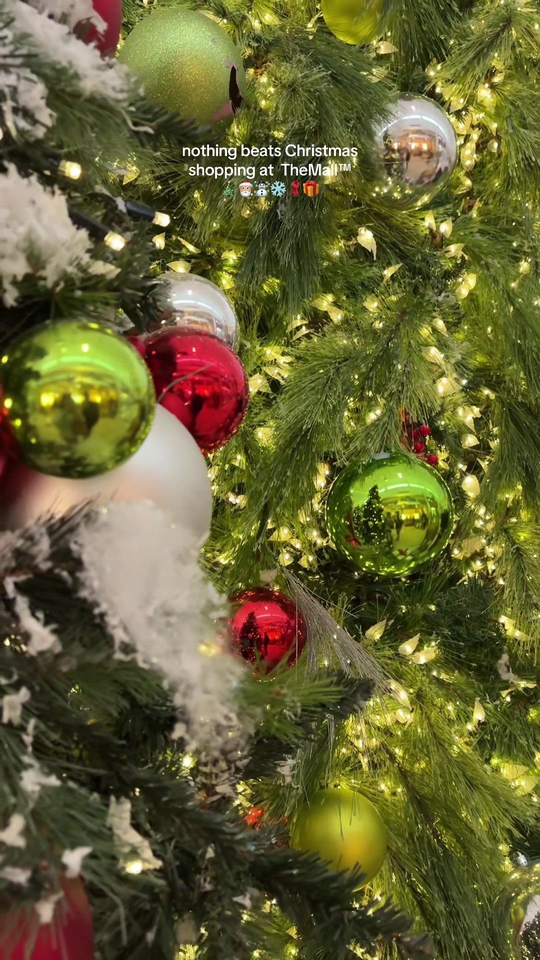 TikTok post by @hollyjreardon for The Mall Luxury Outlets. Caption reads: Getting into the holiday spirit at @Northshore....