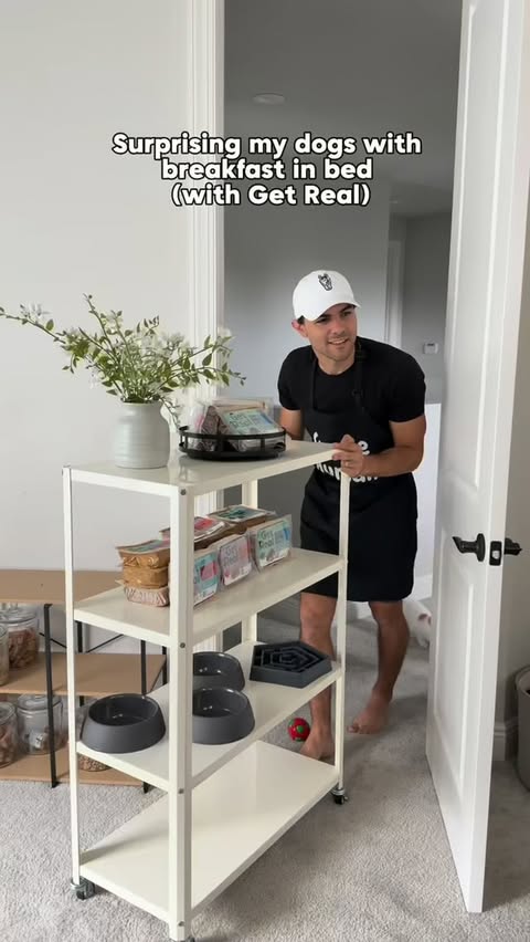 Instagram post by @imbluethesiberian for Chewy. Caption reads: 5-star service for the boys because they deserve....