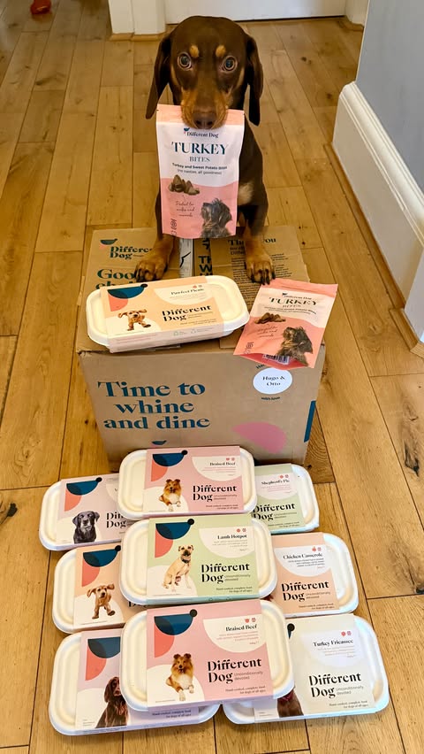 Instagram post by an influencer for Different Dog. Caption reads: [...] day = BEST day 🐶📦 Our @differentdog box of....