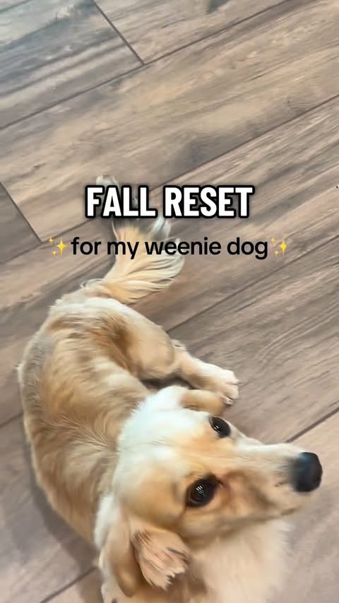 Instagram post by @willistheween for Mrs. Meyer's Clean Day. Caption reads: Fall reset with @mrsmeyerscleanday....