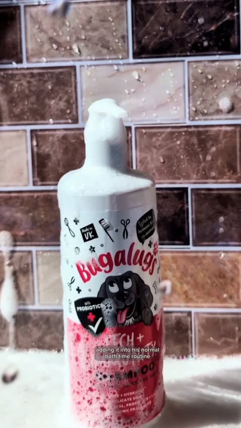 Instagram post by @papistaffy for Bugalugs Pet Care. Caption reads: [...] Dog Diaries 🎬 We’ve been trying....