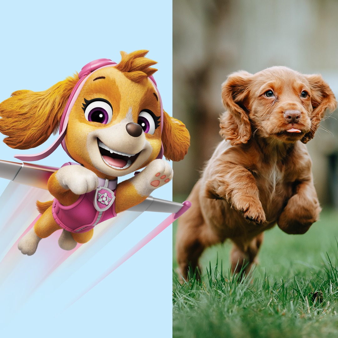 Instagram post by @nickelodeonfamily for PAW Patrol. Caption reads: we spotted the pups irl!.