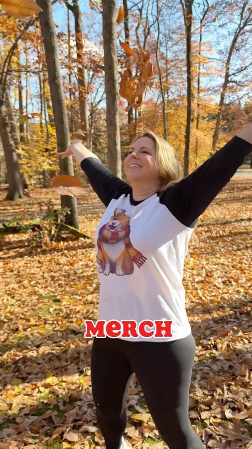Instagram post by @olliethetripodcorgi for Redbubble. Caption reads: [...] of our diverse personalities, and Redbubble....