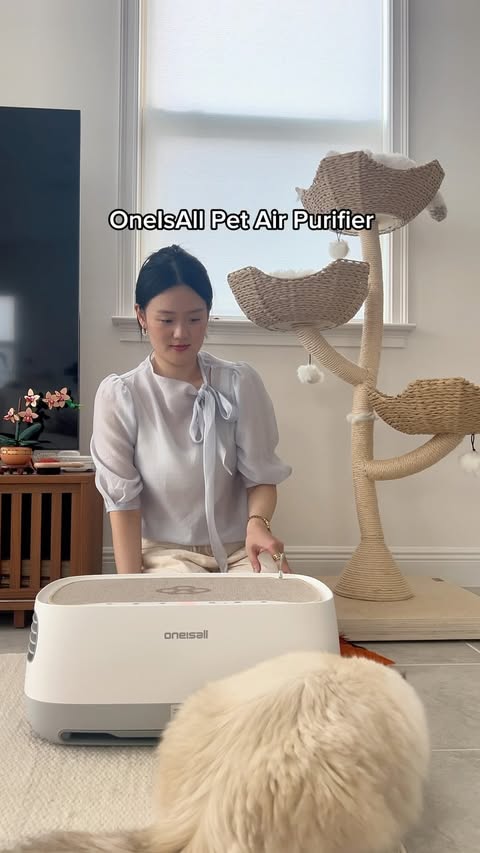 Instagram post by @tofufuthefloof for Oneisall. Caption reads: [...] get cleaner, fresher air all thanks to....