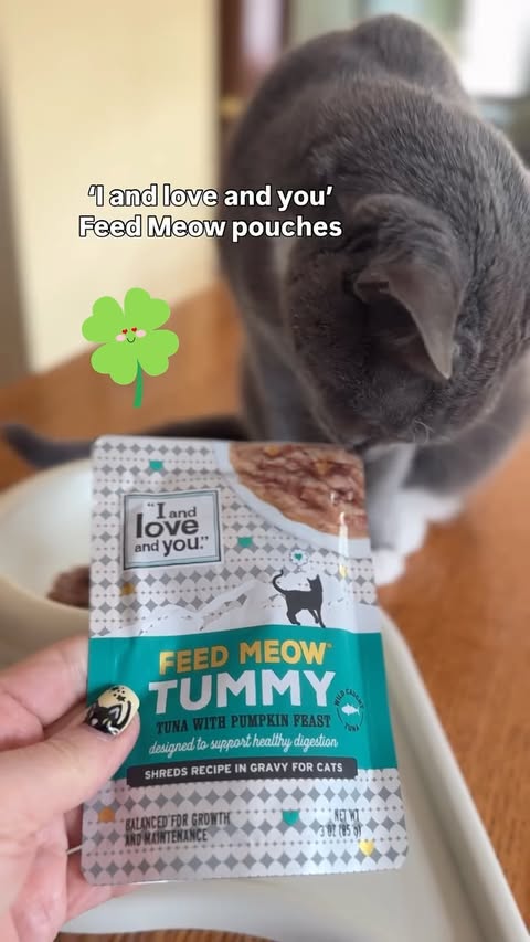 Instagram post by @purrfectinfluencer for I and love and you. Caption reads: ☘️ [ad] Save on any @iandloveandyoupet cat or dog....