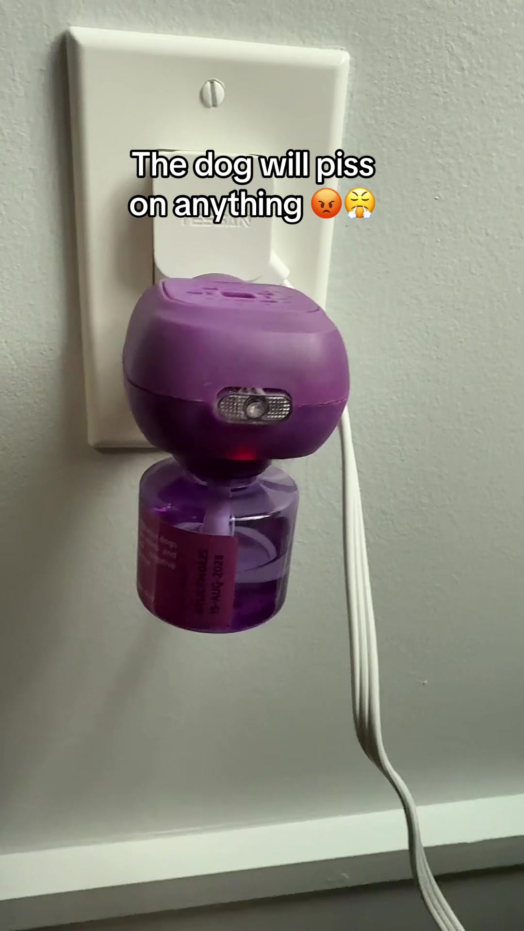 TikTok post by @lunafoxraereview for Beloved Pets. Caption reads: Hope this works for you @Beloved Pets #diffuser....