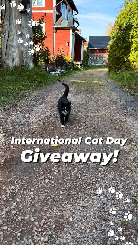Instagram post by @travelingcatsitter for Airalo. Caption reads: [...] as possible 🌎🐱🐾 Big shout out to @Airalo....
