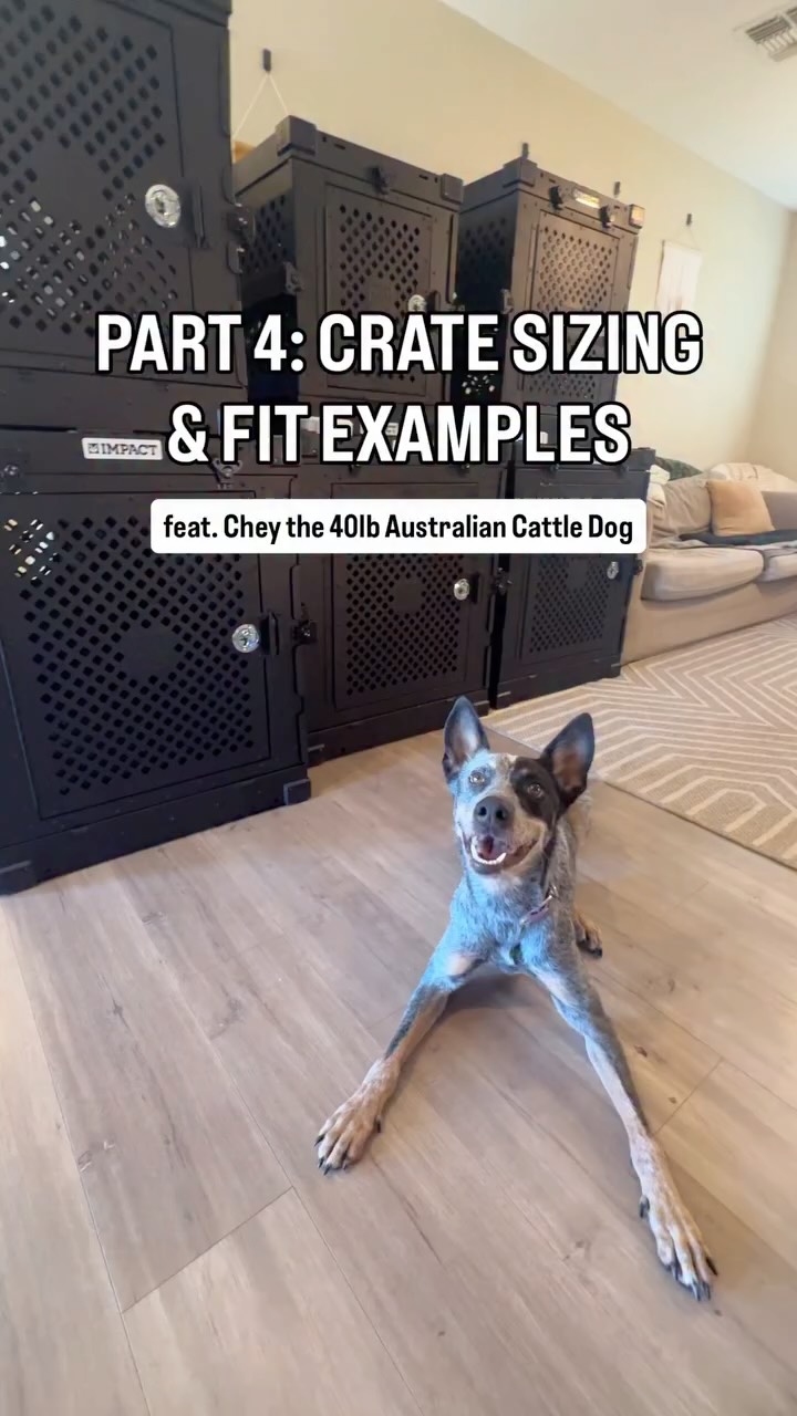 Instagram post by @kotaspen for Impact Dog Crates. Caption reads: [...] to crate sizing but lucky for us,....