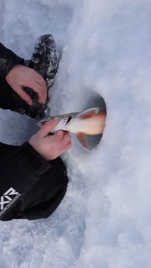 Instagram post by @rodingfrossa for Deepersonar. Caption reads: Deeper in to the mountains!
White mountains,....