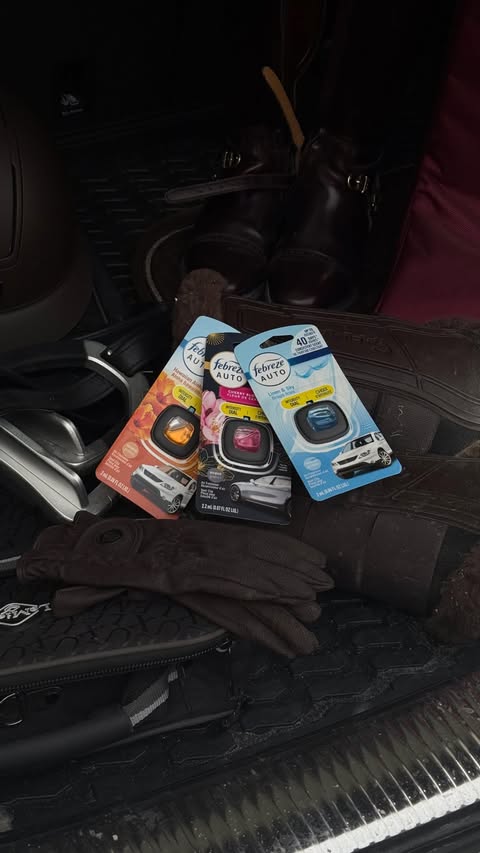 Instagram post by @madisonbarker for Febreze. Caption reads: #FebrezePartner My car wears a lot of hats.......