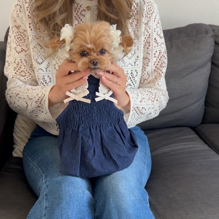 Instagram post by @locomocodayo for Mon Cheri. Caption reads: .
春wear…🐶🌸

リボンとギャザーがかわいい…🤤♡
冷感素材だからこれから夏に向けて
大....