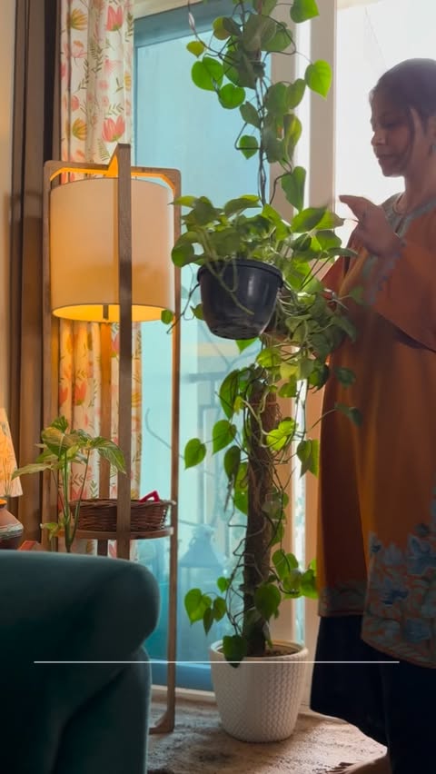 Instagram post by @pollinationdecor for Pepperfry. Caption reads: [...] faux plant of @pollinationdecor from....