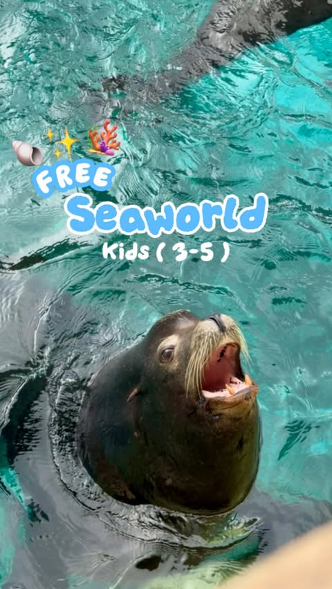 Instagram post by @beyond.nbtx for SeaWorld. Caption reads: 🚨FREE Tickets to Seaworld for kids! 🚨 FREE....