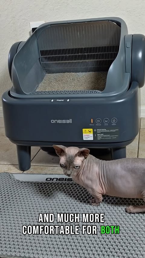 Instagram post by @sphynx.cats.us for Oneisall. Caption reads: [...] have multiple cats or large cats, the....